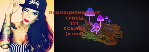 соль ск Аркадак